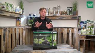 Step by Step Aquascape Timelapse Dennerle Scapers Tank 55L by Volker Jochum  DENNERLE [upl. by Ierdna417]