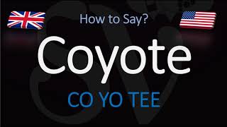 How to Pronounce Coyote  English American Pronunciation [upl. by Innep]