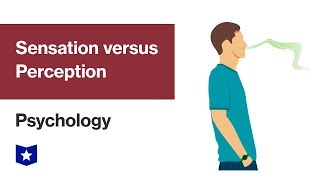 Sensation versus Perception  Psychology [upl. by Schoenberg]