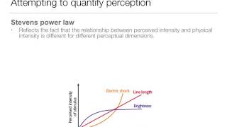 Perception 16 Laws and Theories [upl. by Lalage]