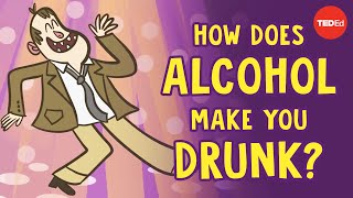 How does alcohol make you drunk  Judy Grisel [upl. by Bum]