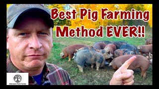 Pig Farming  Pastured Pork VS CAFO [upl. by Latif]