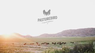 Pasture Raised Chicken Farm in San Diego County CA [upl. by Nodab512]