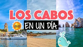 Los Cabos en un día tour básico en Cabo San Lucas [upl. by Enawd]