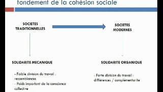 Sur quoi repose la cohésion sociale [upl. by Elatsyrc]