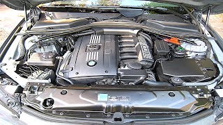 BMW N53 Engine Reliability 2020 [upl. by Assirahc]