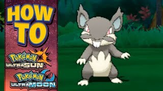 HOW TO GET Alolan Rattata in Pokemon Ultra Sun and Moon [upl. by Harak]