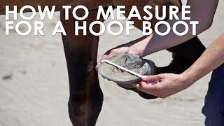 How To Measure Your Horse for Hoof Boots [upl. by Chatterjee259]