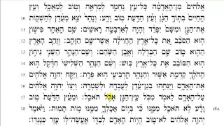 Torah Reading  Genesis Chapter 2 HD [upl. by Eiramyelhsa]