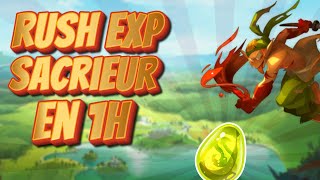 RUSH EXP DOFUS UNITY EN 1 HEURE  SACRIEUR [upl. by Htebazil]