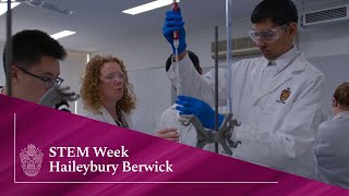 Haileybury Berwick  STEM Week [upl. by Aan667]