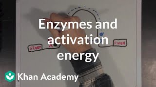 Enzymes and activation energy  Biomolecules  MCAT  Khan Academy [upl. by Caddaric]