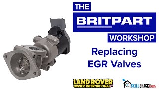 Replacing the EGR valves in a Discovery 3 Discovery 4 and Range Rover Sport [upl. by Gavette]