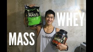 WHEY PROTEIN or MASS GAINER Tips for Beginner [upl. by Akcira]