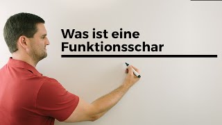 Was ist eine Funktionsschar Teil 1 Parameterfunktion Kurvenschar  Mathe by Daniel Jung [upl. by Suitangi694]