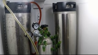 Homemade Belgian Saison Beer [upl. by Root]