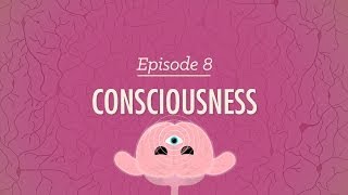 Consciousness Crash Course Psychology 8 [upl. by Nessi]