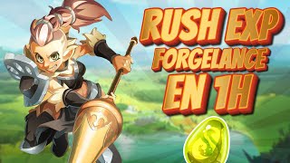 RUSH EXP DOFUS UNITY EN 1 HEURE  FORGELANCE [upl. by Tamqrah316]