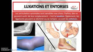 Cours 36  Les articulations [upl. by Makell62]