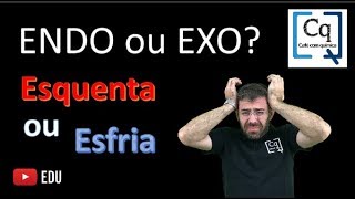 Termoquimica Reação endo ou exo [upl. by Hannah543]