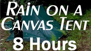 Rain on a Tent Sounds  8 Hour Long Relaxing Sounds for Sleep [upl. by Norword255]