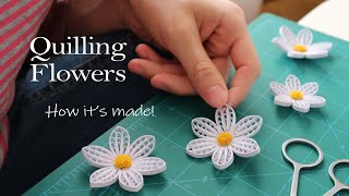 Paper Quilling Flowers  How Its Made  No4  DIY [upl. by Bertold]