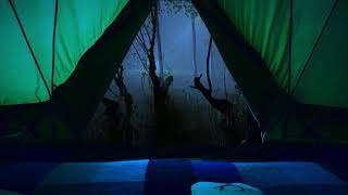 Instant deep sleep in a tent with continuous heavy rain and the sound of thunder in the forest [upl. by Nreval]