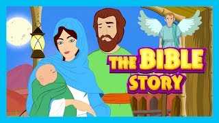 The Bible Story  Stories of Jesus  Bible and Other Story Collection For Kids [upl. by Annasor484]