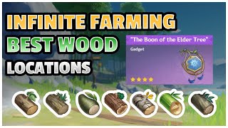 Best INFINITE Farming Wood Locations  Part 1 Genshin Impact [upl. by Creigh]