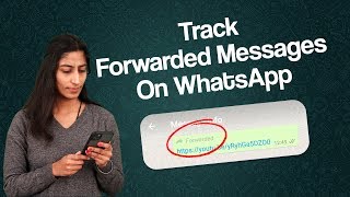 How Many Times Your Message Forwarded On WhatsApp Messenger  Whatsapp Forwarded Message Trick [upl. by Eimmac]