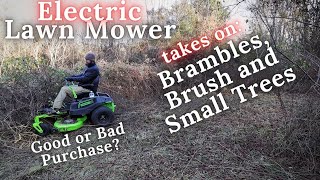 using an Electric Lawn Mower to mow down Brambles Brush and Small trees [upl. by Imugem]