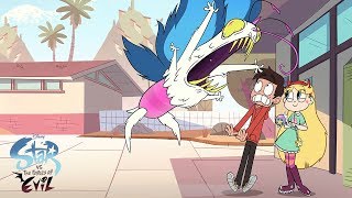 Best Moments in Star  Star vs the Forces of Evil  Disney Channel [upl. by Donall873]