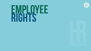 HR Basics Employee Rights [upl. by Nahtanhoj]