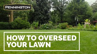 How to Overseed Your Lawn [upl. by Kella]