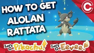 How To Get Alolan Rattata amp Raticate  Lets Go PikachuEevee [upl. by Assirrem584]