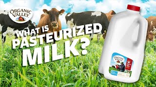 What is Pasteurized milk  Ask Organic Valley [upl. by Nosahc]