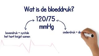 Wat is de bloeddruk [upl. by Dorotea]