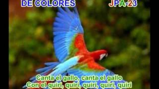 DE COLORES  SPANISH TRADITIONAL SONG [upl. by Rastus]