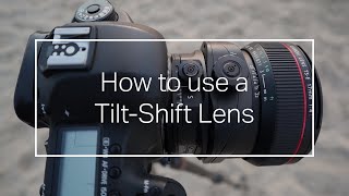 How to use a TiltShift Lens [upl. by Koal]