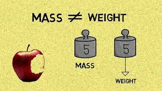 The Difference Between Mass amp Weight [upl. by Cantu348]