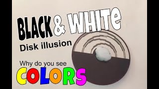 Black amp White Disk Illusion experiment [upl. by Lemcke436]