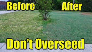 Overseeding Bermuda Lawn [upl. by Thane]