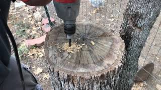 Burning a tree stump easy removal [upl. by Dacie]