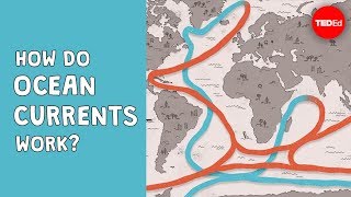 How do ocean currents work  Jennifer Verduin [upl. by Gio]