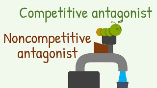 Competitive Antagonist vs Noncompetitive Antagonist [upl. by Ikiv801]