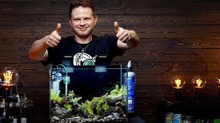 EASY PLANTED AQUARIUM SETUP  WITH VOLKER JOCHUM FROM DENNERLE [upl. by Annad]