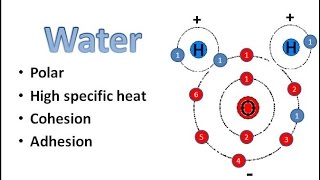 Water Chemistry [upl. by Fugazy]