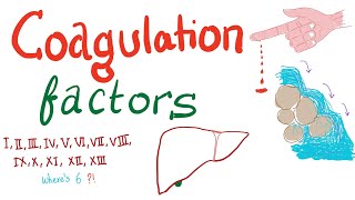 Coagulation Factors  Hemostasis  Hematology [upl. by Anirba]