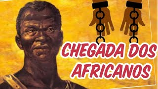 CHEGADA DOS AFRICANOS TRÁFICO NEGREIRO ZUMBI DOS PALMARES E CULTURA AFROBRASILEIRA [upl. by Pentheam82]