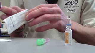 How to Prepare Epinephrine 11000 [upl. by Ofella]